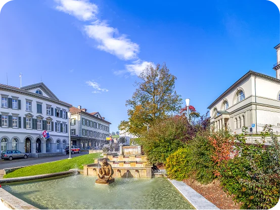 Umzug-Appenzell-Ausserrhoden
