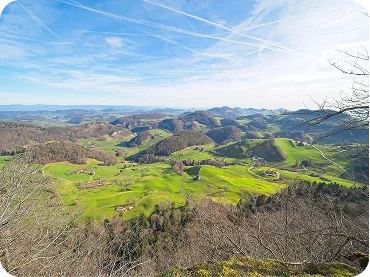 Umzug-Basel-land-bild