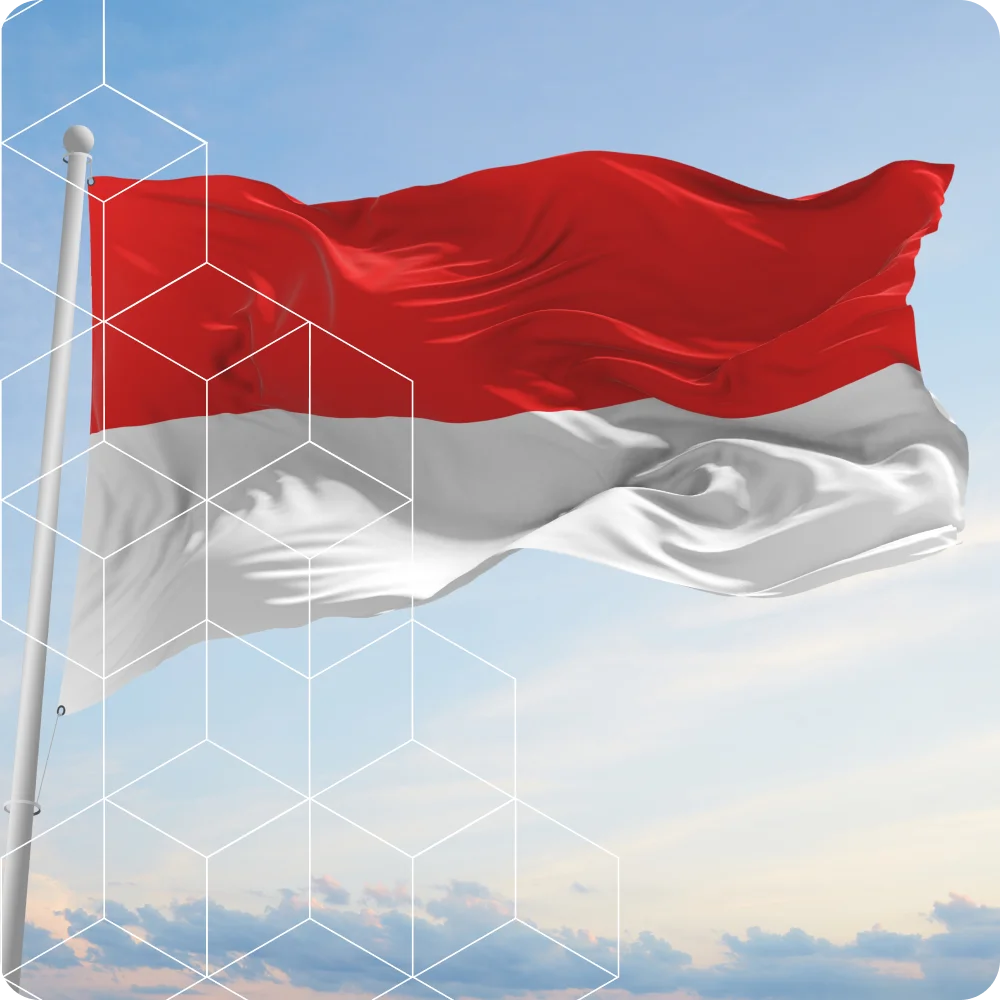 Umzugfirma-Solothurn-flag