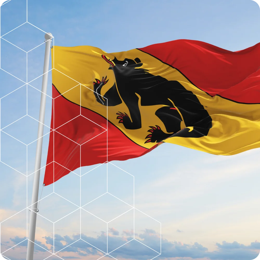 Umzugsfirma-Bern-flag