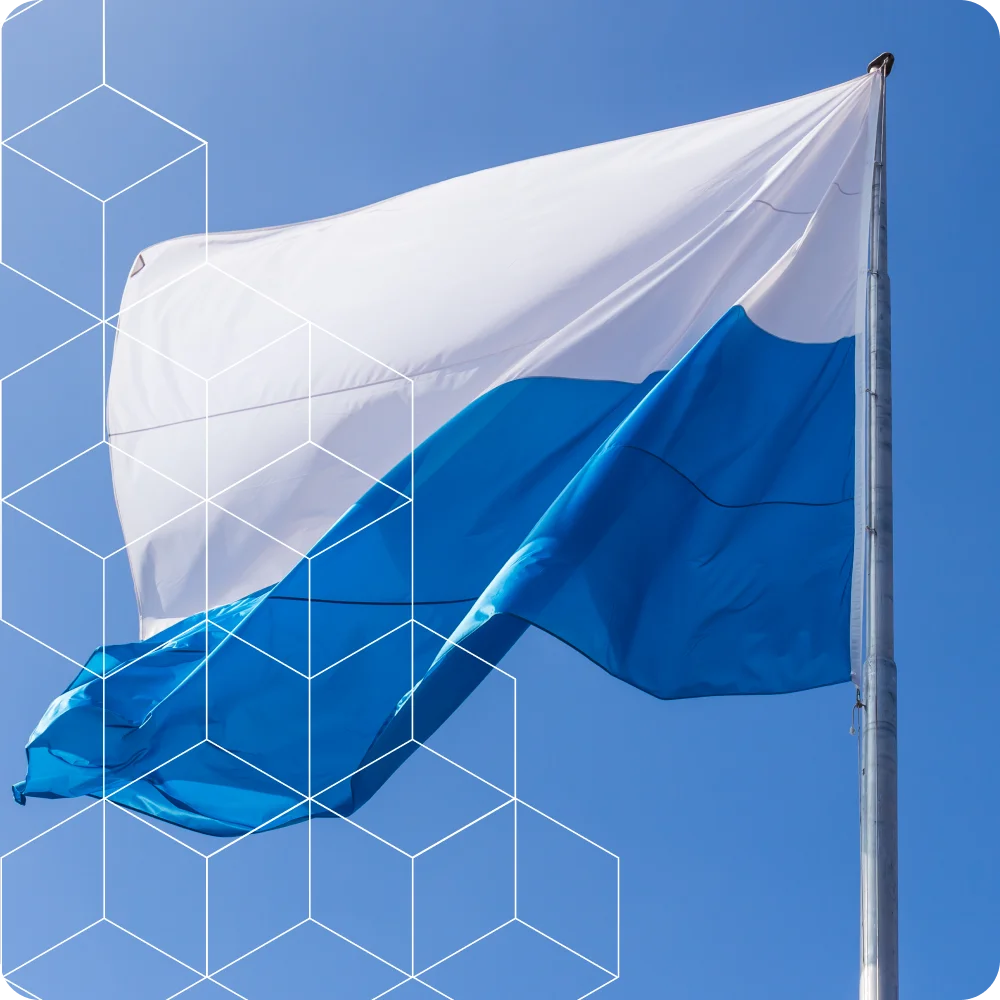 Umzugsfirma-Luzern-flag