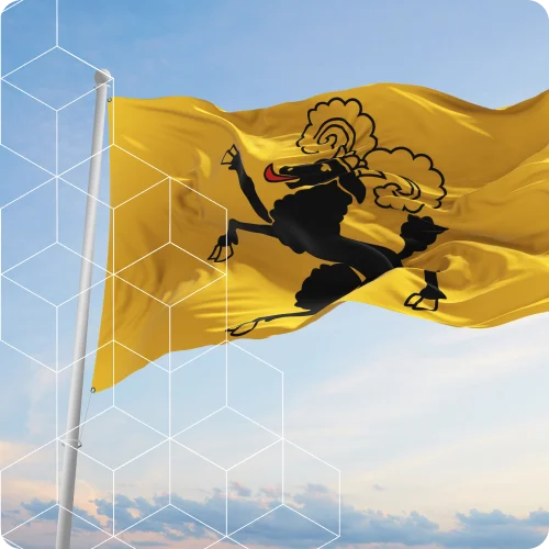 Umzugsfirma Schaffhausen