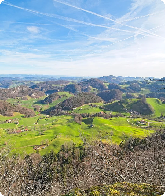 umzugsfirma-basel-land