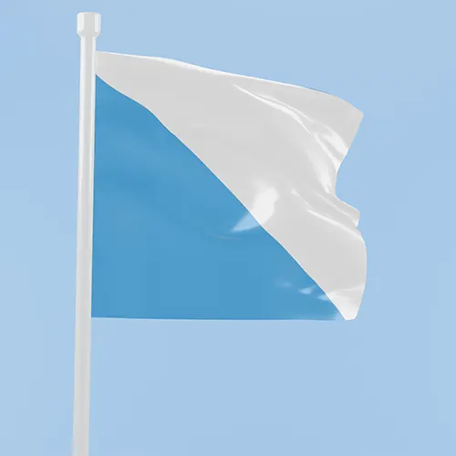 Umzugsfirma-Zürich-flag